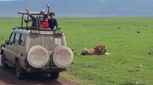 In Everything You Do Make Sure You Leave A Mark Nature Bound Africa Nature