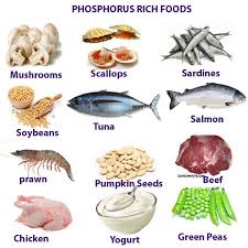 Phosphorus Health Benefits Deficiency And Rich Foods Food Health Benefits Food Health Food