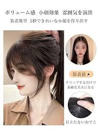 Amazon.co.jp: Hair Divided Eight Shape Dane Long with Bangs Fashion Wig,  Dark Color, Light Color, 9.8 inches (25 cm), Volume Up Effect, French  Style, Black Brown, Macho Hair Parts, 1.4 oz (40