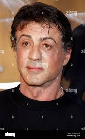 Actor sylvester stallone hi-res stock photography and images