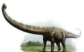 1.1 一、神与类神总录 1.2 二、神器目录 1.3 三、年表总录 1.4 四、怪物大图鉴 1.5 五、位面指南 2 欢迎来到多元宇宙大图书馆，入内请脱鞋 2.1 龙与地下城 wiki 版. ä½ äº†è§£æé¾™å— åœ°éœ‡é¾™ éƒ§é˜³æé¾™è›‹åŒ–çŸ³ç¾¤å›½å®¶åœ°è´¨å…¬å›­