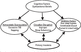 Pdf Cognitive Behavioral Therapy For Primary Insomnia Semantic Scholar