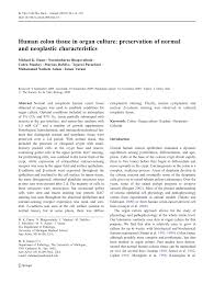 Check spelling or type a new query. Pdf Development Of Organ Culture Conditions For Maintenance Of Normal And Malignant Human Colon Tissue