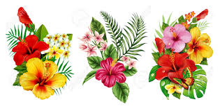 Download and use 100,000+ flower background stock photos for free. 3 In 1 Best Hd Png Vintage Flower Image In One Pack Stock Photo Picture And Royalty Free Image Image 90819299