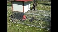 Gallinero portátil con ruedas