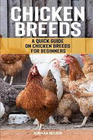 Since 1888, the golden laced wyandotte chicken breed is recognized by the american standard of perfection. Chicken Breeds A Quick Guide On Chicken Breeds For Beginners 9781500689896 Medicine Health Science Books Amazon Com