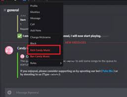 There are many different bots that do different things. How To Add Or Remove Bots To Your Discord Server Detailed Guide