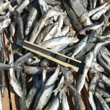 Kota bandar lampung (aksara lampung: Ikan Asin Layang Rebus 250gr Ikan Layang Ikan Cue Ikan Pindang Lazada Indonesia
