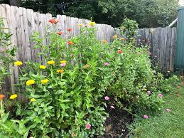 Use the flower garden to direct attention to some sections of the front yard. How To Create A Cut Flower Garden For Beginners Step By Step