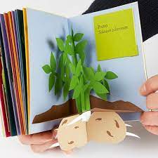 Children Book Pop Up 52 Best Ideas In 2021 Diy Pop Up Book Pop Up Art Artist Books