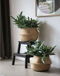 Creative Decorating Ideas Using Wicker Baskets Matchness Com Home Decor Baskets Interior Plants Wicker Basket Decor