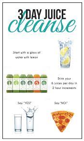Genieße vitamine und nährstoffe mit einer juice cleanse. Juice Cleanse Guide For Successful Cleansing