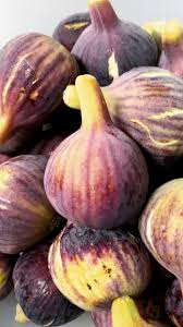 Άριστης ποιότητας ποικιλία σύκων, γλυκά και ιδιαίτερα γευστικά με βαθύ ιώδες χρώμα, με πρασινοκίτρινες αποχρώσεις. Dino Gelato Gelato Syko Lepth Beloydinh Geysh Apo Basilika Syka Epoxhs Facebook