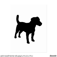 Jack Russell Terrier Silo Png Postcard Zazzle Com Jack Russell Terrier Jack Russell Terrier