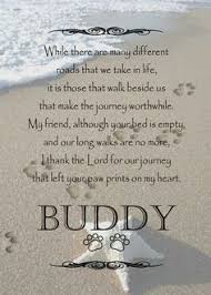 Pet Loss Poems Quotes Dogs Dog Poems Pet Loss Grief Pet Remembrance