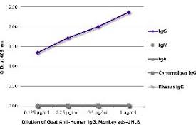 These dyes are bright, photostable and have minimal quenching on proteins. Anti Goat Secondary Antibodies Www Antibodies Online Com