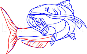 How To Draw A Catfish Step By Step Drawing Guide By Dawn Dragoart Com In 2020 Fish Quilt Guided Drawing Fish Painting
