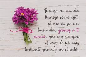 Definitivamente no eres una molestia! Las Mejores Frases De Buenos Dias Para Tu Amor