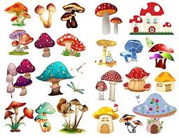 We've brought some selected pictures that you really like. Amazon Com Seasonstorm Mushroom House Kawaii Aesthetic Happy Planner Diary Journal Stationery Scrapbooking Stickers Travel Art Supplies Office Products