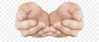 Hand Thumb Png Download 7000 3878 Free Transparent Hand Png Download Cleanpng Kisspng All images and logos are crafted with great workmanship. hand thumb png download 7000 3878