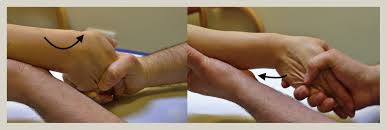 Image result for Shuck Test