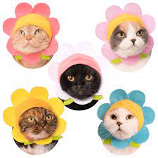 Flower Cat Cap Blind Box Cute Cat Costumes Cat Hat Pet Costumes