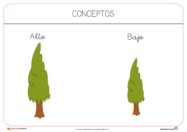 403 Forbidden Materiales Didacticos Concepto Actividades
