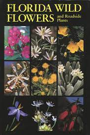 I will be discussing important topics such as security, soil, maintenance, watering, and harvest. Florida Wild Flowers And Roadside Plants Bell C Ritchie Taylor Bryan J 9780960868803 Amazon Com Books