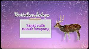 Melakukan segala sesuatu asal maksud tercapai. Peribahasa Bagai Rusa Masuk Kampung Youtube