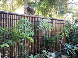 Pin On Tropical Landscaping