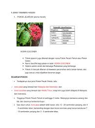 Maybe you would like to learn more about one of these? 5 Jenis Tanaman Hiasan