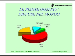 Negli usa sono concentrate le più importanti multinazionali che detengono la tecnologia del transgenico. Piante Ogm Ppt Scaricare