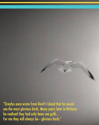 From Harold And Maude Glorious Birds Confucius Say Good Movies Movie Quotes