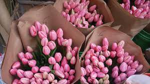 A love that doesn't take you barefoot in the streets of the city, doesn't force you to pick garden flowers. The Local S Guide To Nyc S Flower District Journal Hotels