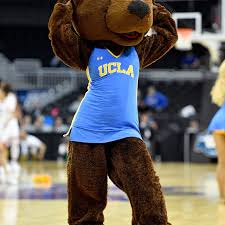 The bruin mascot looks on during the game between the arizona wildcats and the ucla bruins on february 29 at pauley pavilion in los angeles, ca. Oregon State Basketball Beavers At Ucla Bruins Gamethread Game 25 Building The Dam