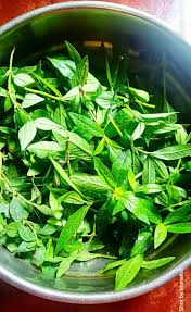 Image result for Basella paniculata