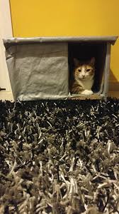 Tanınmış mobilya markalarından adore mobilya daha önceden de uyguladığı ücretsiz kedi evi kampanyasını yeniden başlattı. Kedi Evleri Icin 26 Fikir Kedi Evi Kedi Mobilya