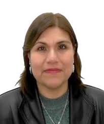 Autónoma Virtual: Plana Docente