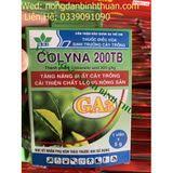 Colyna 200TB