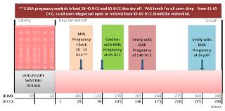 Milk Pregnancy Analysis Test Lancaster Dhia