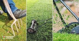 Reasonable width and height to make the work finish with high efficiency and less effort. 6 Best Lawn Aerator Reviews How To Create A Beautiful Healthy Lawn