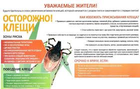 Последовательность действий при укусе клеща - ГУЗ Клиническая поликлиника  № 28