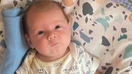 Fundraiser for Tabitha Bowen by Samantha Bowen : Tombstone for Kolysn