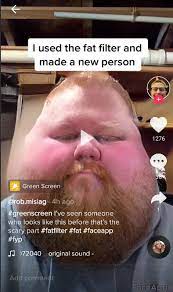How To Get Fat Chubby Face Filter Tiktok Instagram Salu Network