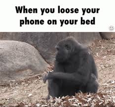 Lost Your Phone Funny Gifs Gifvif