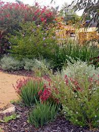 Australian Garden Design Australian Native Garden Native Garden