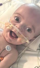 Wesley Patterson Obituary (2023)