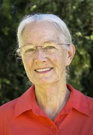 Learning from the Bumps in the Road: Insights from Early Childhood Leaders:  Amazon.co.uk: Bruno, Holly Elissa, Hernandez, Luis Antonio, Gonzalez-Mena,  Janet, Sulivan, Debra Ren-Etta: 9781605542065: Books