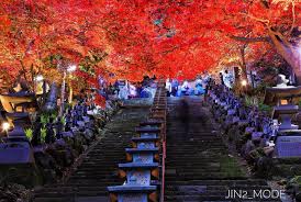 秋深まる紅葉列島 見頃を迎える関東 伊豆 北陸の絶景の紅葉を訪ねて びゅうたび