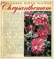 Chrysanthemum Chrysanthemum Chrysanthemum Meaning Birth Flowers